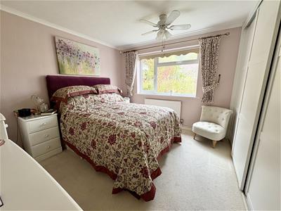 Picture 8